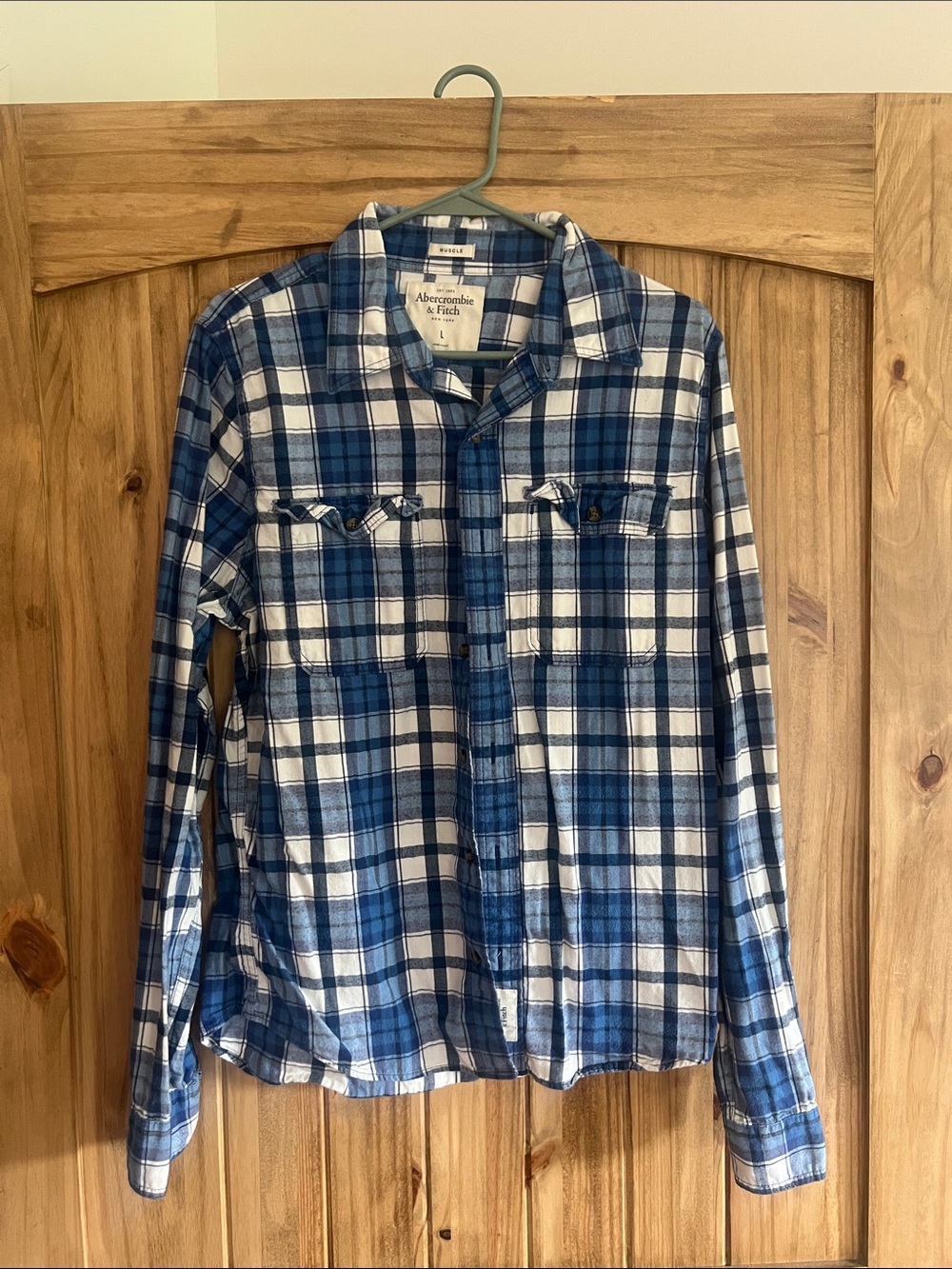 Abercrombie & Fitch Blue and White Plaid Button-Down Shirt